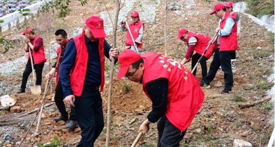 村企共建，，，，，共植先锋林
