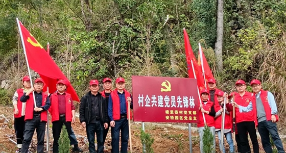 村企共建，，，，共植先锋林