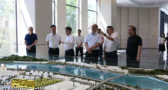 省委政研室童主任一行调研55世纪集团