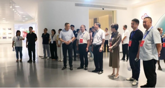 丽水市第五届人大代表景宁中心组调研55世纪集团